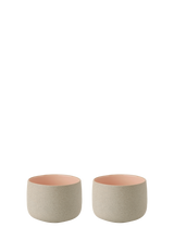 X 233 1 (1)